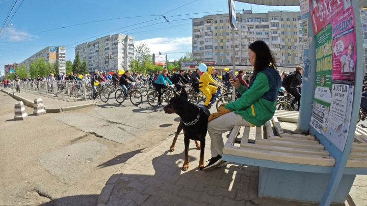 Выбираем объезды: «День 1000 велосипедистов» заблокировал дороги в Уфе