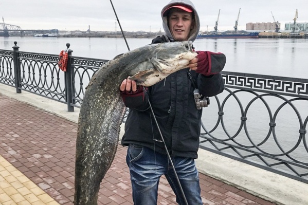 Рыбина длиной 1,2 метра Рыбина длиной 1,2 метра