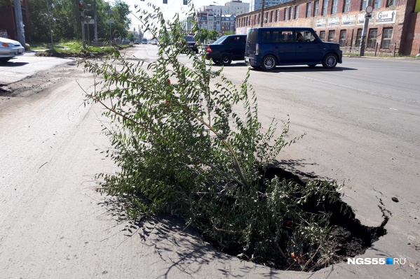 Яму посреди дороги обезопасили, натолкав туда веток Яму посреди дороги обезопасили, натолкав туда веток