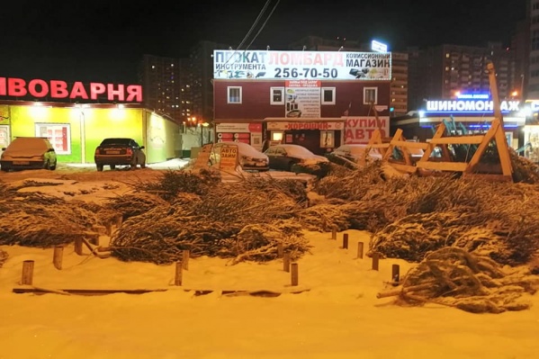 Десятки елок оказались нераспроданными<i class="_">. </i>И так везде по городу Десятки елок оказались нераспроданными<i class="_">. </i>И так везде по городу