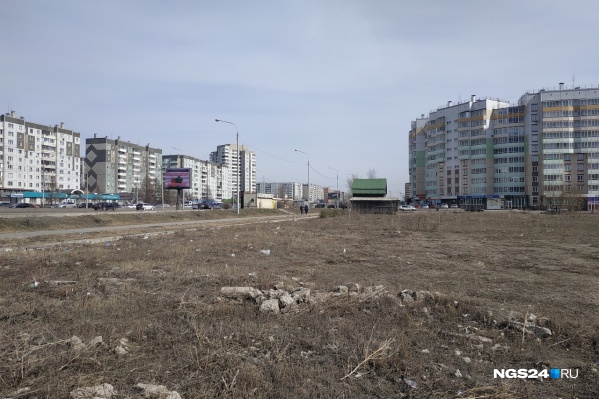 Здесь два года назад высадили деревья Здесь два года назад высадили деревья