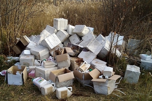 В облкомздраве ищут владельца агрохимикатов, выбросившего их в пойму Царицы В облкомздраве ищут владельца агрохимикатов, выбросившего их в пойму Царицы