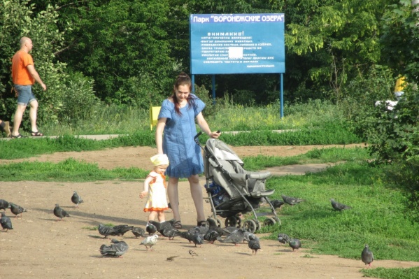 Среди претендентов на благоустройство в народном онлайн-голосовании — парк «Воронежские озера» Среди претендентов на благоустройство в народном онлайн-голосовании — парк «Воронежские озера»