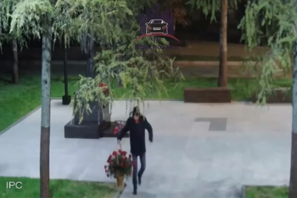 Кража цветов с памятника Кража цветов с памятника