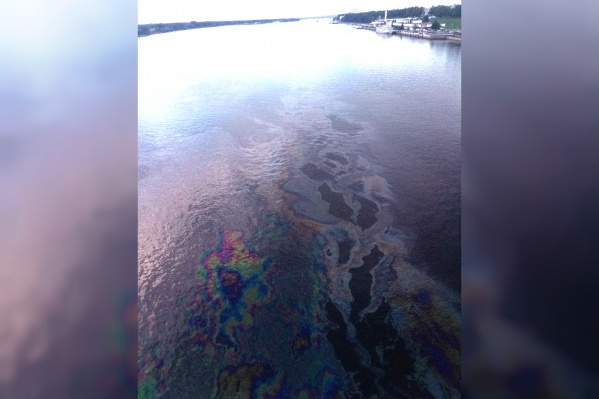 Экологи говорят, что нефтепродукты нужно срочно убирать с воды Экологи говорят, что нефтепродукты нужно срочно убирать с воды