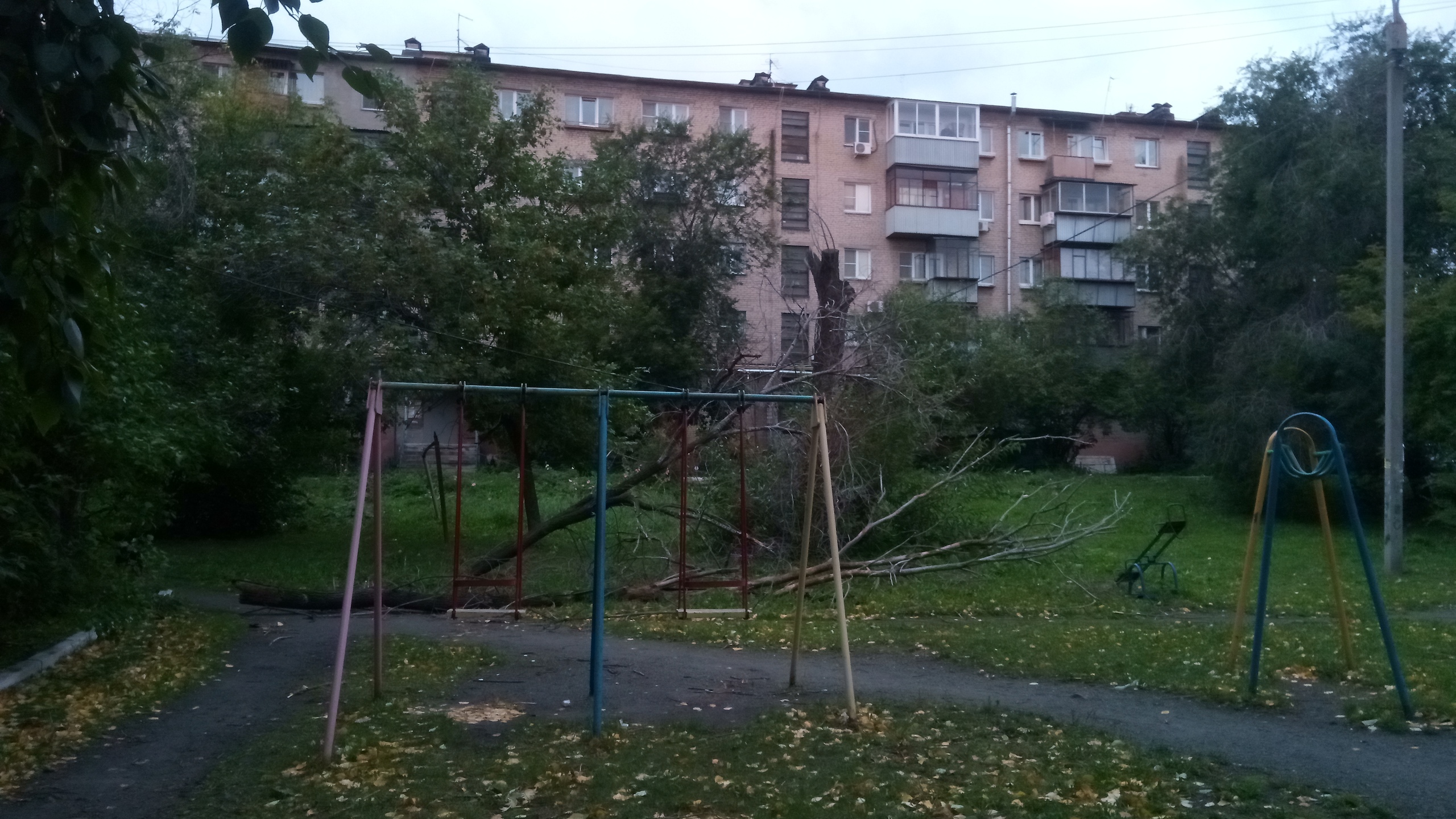 А во дворе на Свободы, 157 дерево упало на детскую площадку и зацепилось за провода столба освещения А во дворе на Свободы, 157 дерево упало на детскую площадку и зацепилось за провода столба освещения