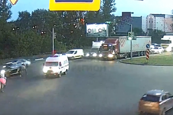 Лошади убежали из стойла Лошади убежали из стойла