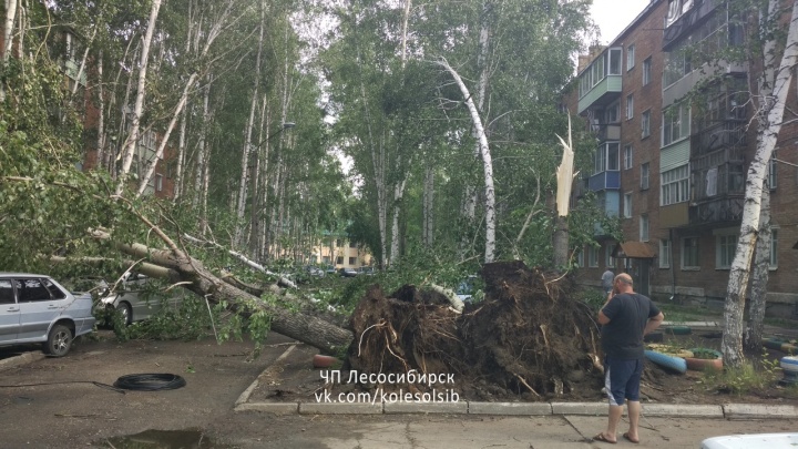 По Лесосибирску прошел мощный ураган. Деревья вырывало с корнями, машины побило шифером