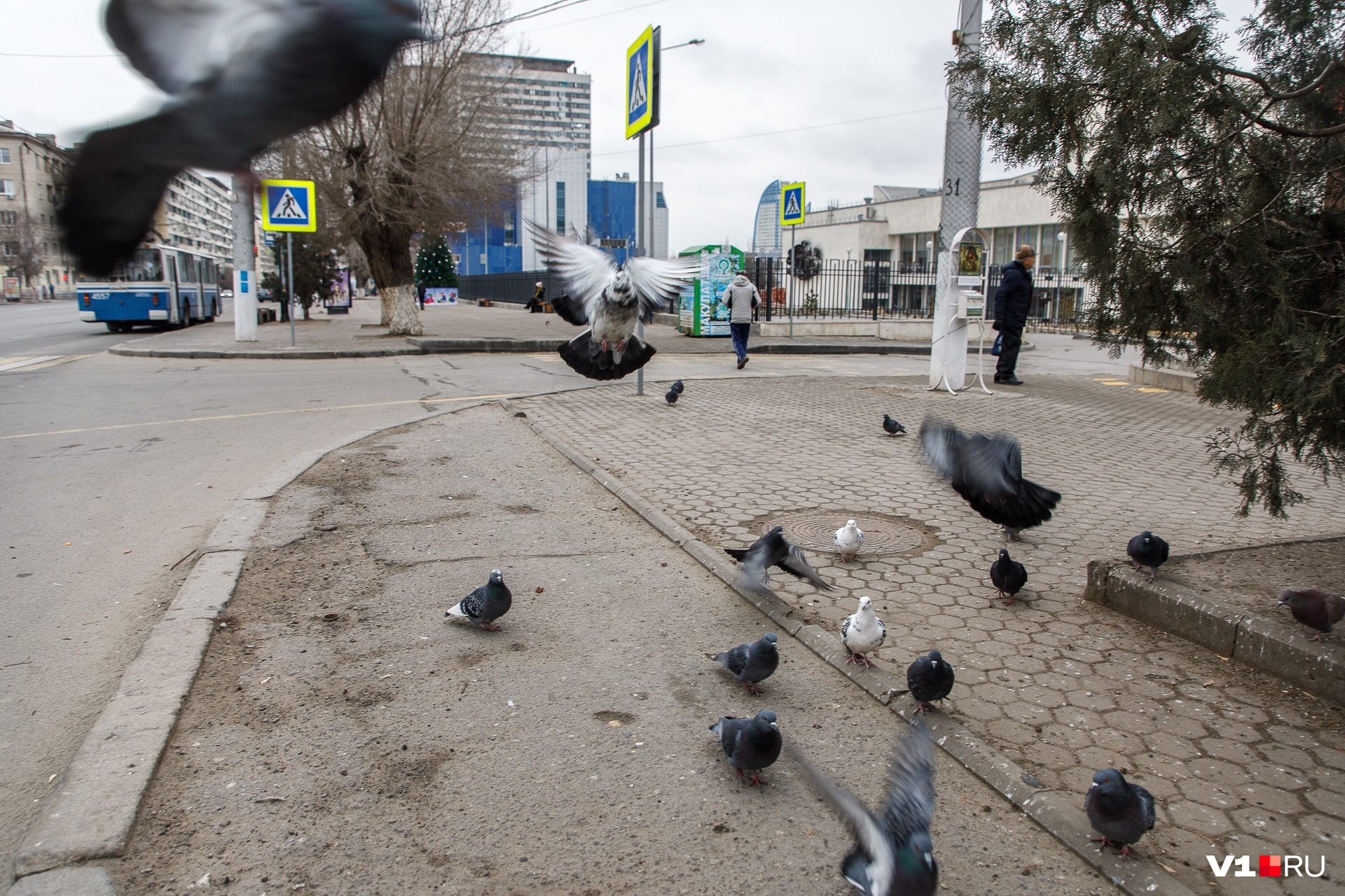 Звенящая тишина и новогоднее похмелье: Волгоград начал год с пустыми дорогами и закрытыми магазинами