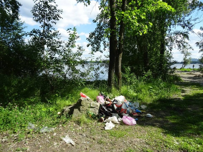 Почва загрязняется из-за парковки на газонах, выгула собак и несанкционированных свалок Почва загрязняется из-за парковки на газонах, выгула собак и несанкционированных свалок