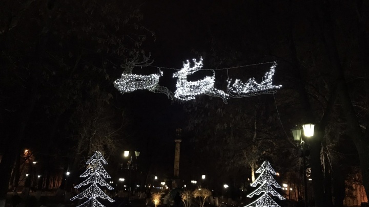 «Баклажан и олень»: ярославцев возмутило новогоднее украшение города с перегоревшими лампочками