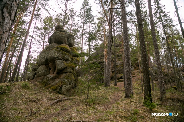 Спасателям на «Столбах» часто приходится искать заплутавших туристов Спасателям на «Столбах» часто приходится искать заплутавших туристов