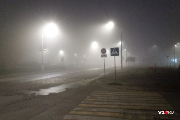 Тумана метеорологи не предвещали Тумана метеорологи не предвещали