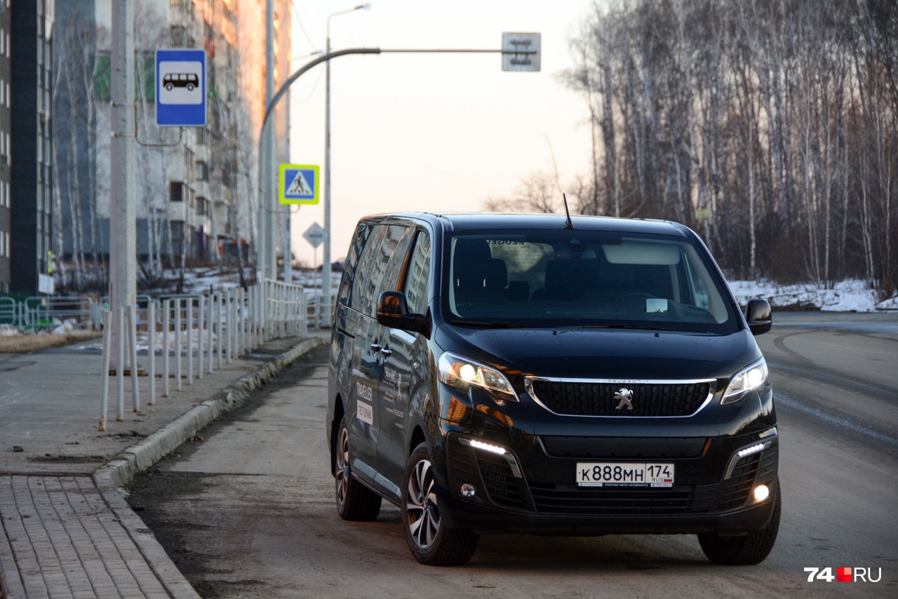 На автобусных остановках его могут принять за своего На автобусных остановках его могут принять за своего
