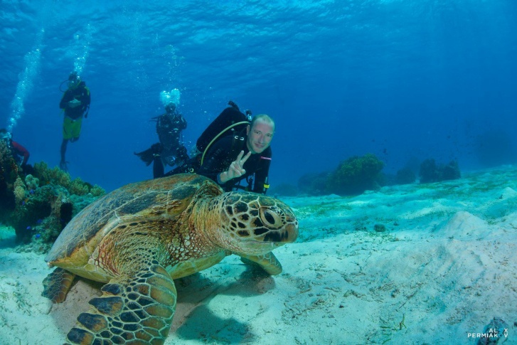 Дайвером Николай работает уже 25 лет