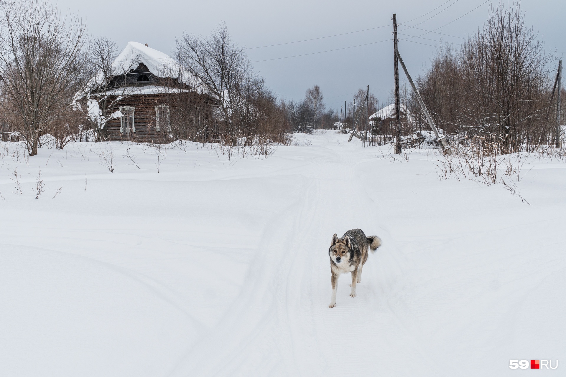 Березовский пермский край. Таз татарский Березовский район Пермский край. Березовский район Пермский край деревня татарский таз. Таз русский Березовский район Пермский. Таз русский Березовский район.