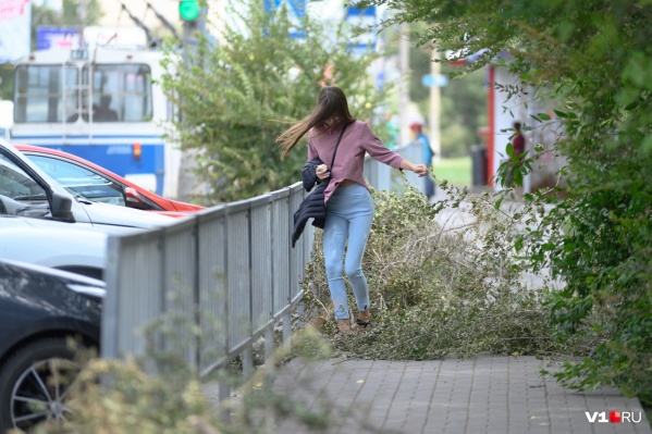 Порывы ветра могут достигать 25 метров в секунду Порывы ветра могут достигать 25 метров в секунду