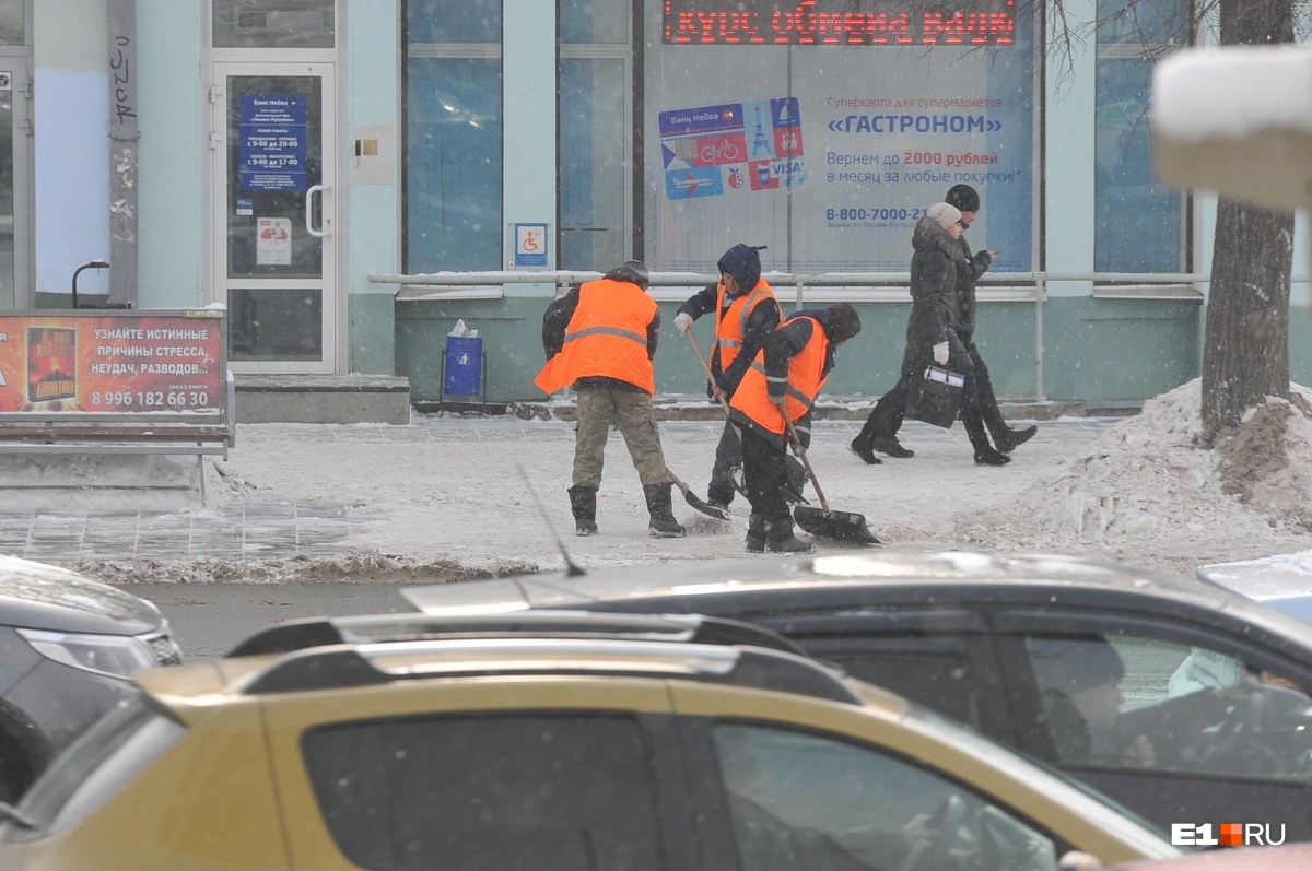 Пожалел птиц, покормил малыша и заставил горожан визжать от восторга: день Путина в Екатеринбурге