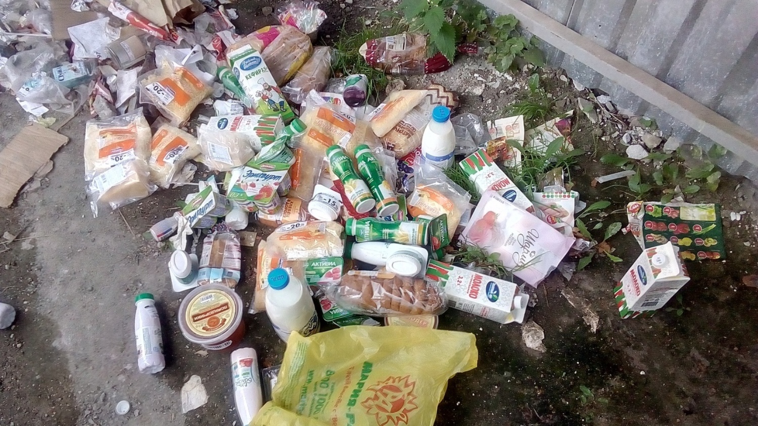 Одна из находок Данила — на помойке у одного из магазинов «Пятёрочка» на Затулинке Одна из находок Данила — на помойке у одного из магазинов «Пятёрочка» на Затулинке