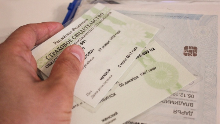 В России отменили зеленые карточки СНИЛС