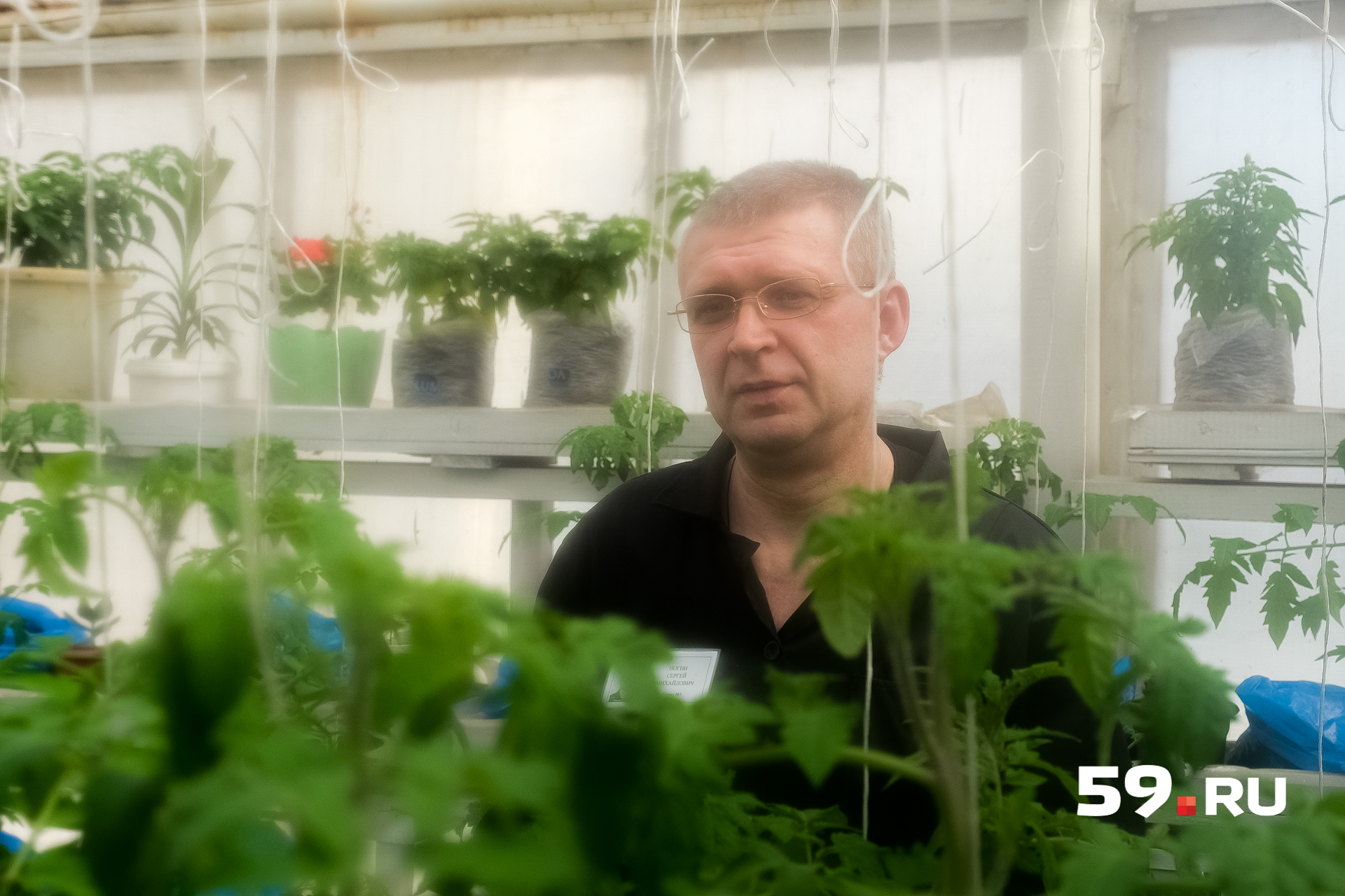 Сергей выращивает здесь овощи, по образованию осужденный — агроном Сергей выращивает здесь овощи, по образованию осужденный — агроном