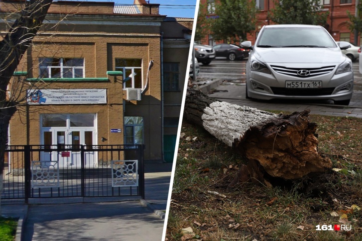 На нескольких студенток педагогического колледжа упало дерево На нескольких студенток педагогического колледжа упало дерево
