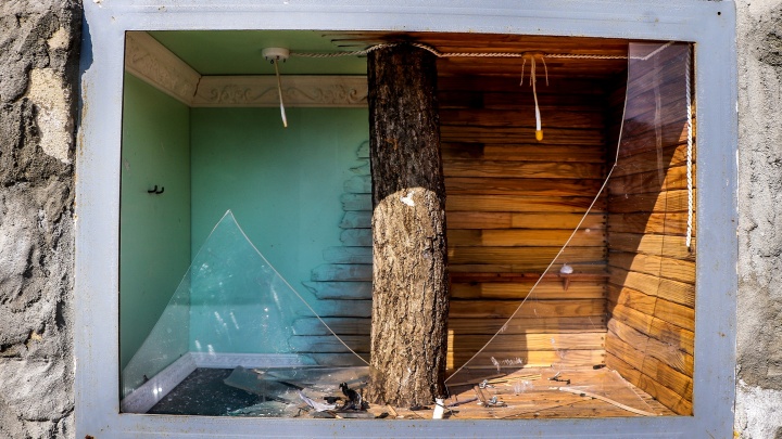 Вандалы уничтожили «Дом на дереве» нижегородского уличного художника