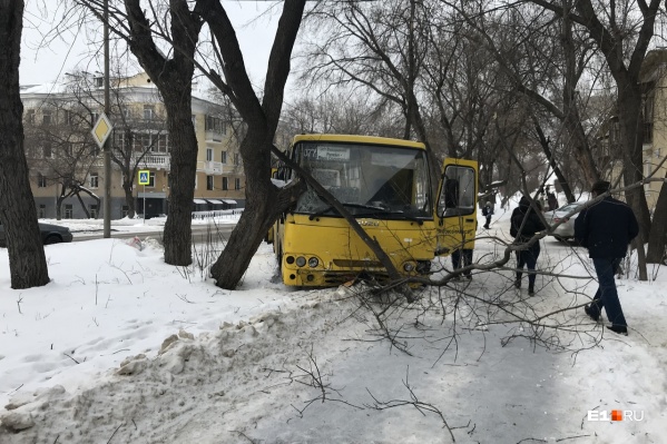 Автобус врезался в дерево и сломал ветки Автобус врезался в дерево и сломал ветки