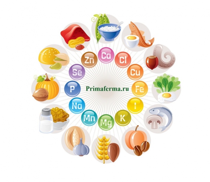 Десять сибирских продуктов избавят от раздражительности, забывчивости и авитаминоза
