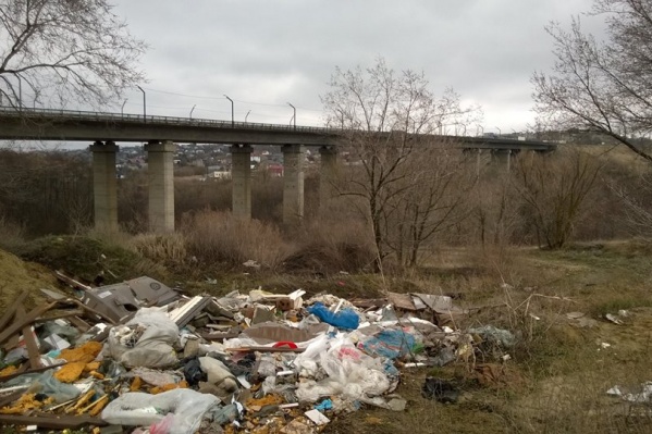 Горожан зовут разобрать завалы в пойме Царицы 13 апреля Горожан зовут разобрать завалы в пойме Царицы 13 апреля