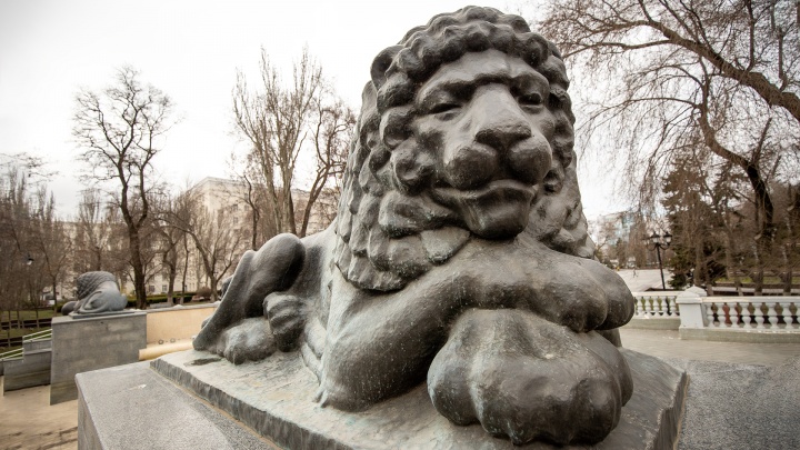 Раскрасили «львов»: в центре Ростова вандалы вновь изуродовали скульптурный комплекс