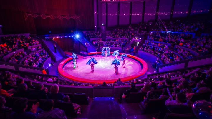 Джигитам на радость: новосибирский цирк заменил манеж впервые за 30 лет