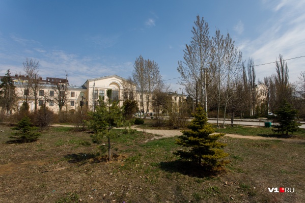 Парк Гагарина постепенно вырубают в рамках всевозможных реконструкций Парк Гагарина постепенно вырубают в рамках всевозможных реконструкций