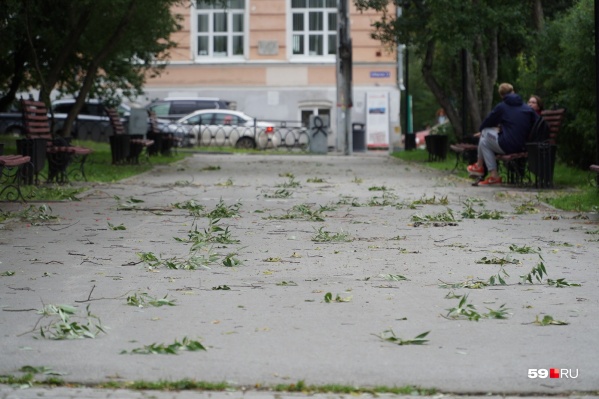 Это только малые последствия прошлого урагана Это только малые последствия прошлого урагана