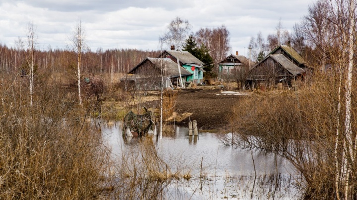 В Ярославской области зятю, избившему тёщу, запретили выходить из дома по ночам