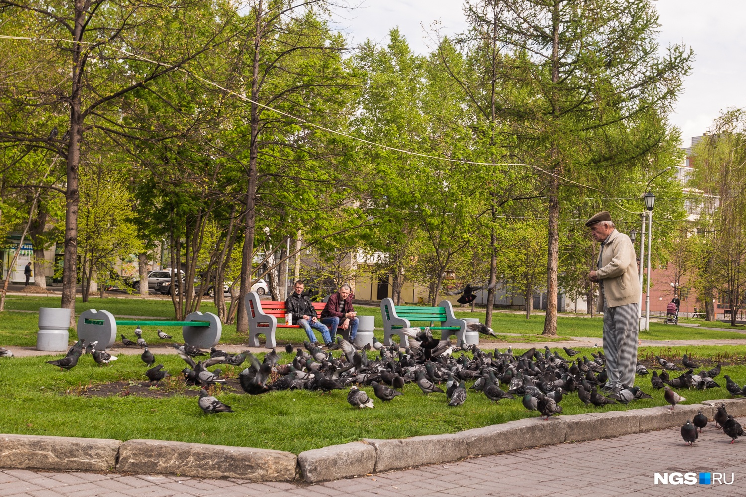 Заельцовский район новосибирска фото