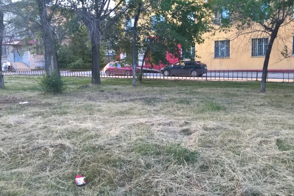 Не до всех скверов Волгограда добралось большое благоустройство Не до всех скверов Волгограда добралось большое благоустройство 
