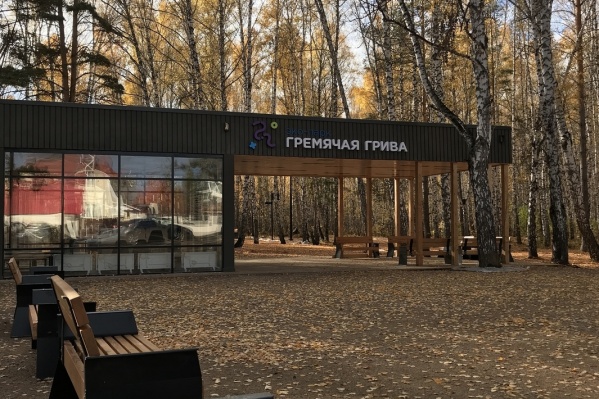 На месте лесов появляются парки с кафе, парковками, асфальтовыми дорожками На месте лесов появляются парки с кафе, парковками, асфальтовыми дорожками 