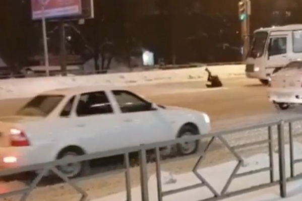 Пешеход сильно ударился об автобус Пешеход сильно ударился об автобус