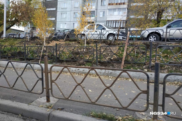 Если вы заметили подобную картину на улицах города — обязательно сообщайте в редакцию Если вы заметили подобную картину на улицах города — обязательно сообщайте в редакцию