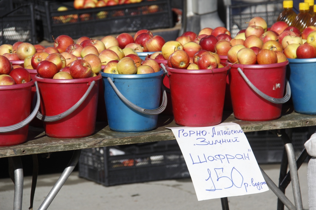 Яблоки купить рынок. Яблоки на рынке. Ведро яблок. Реализация яблок. Продаю яблоки.