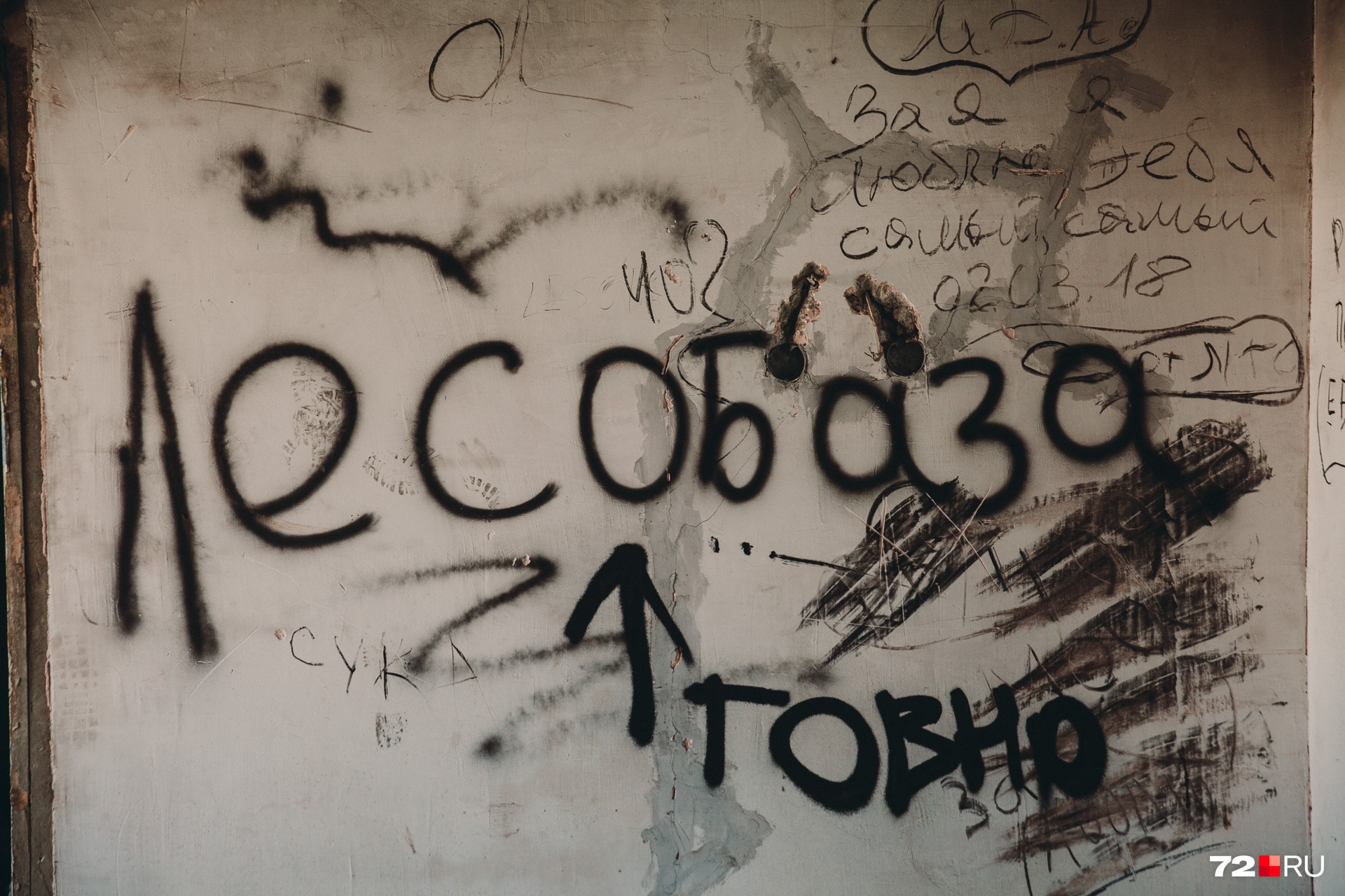 Некоторые тюменцы готовы с этим поспорить Некоторые тюменцы готовы с этим поспорить