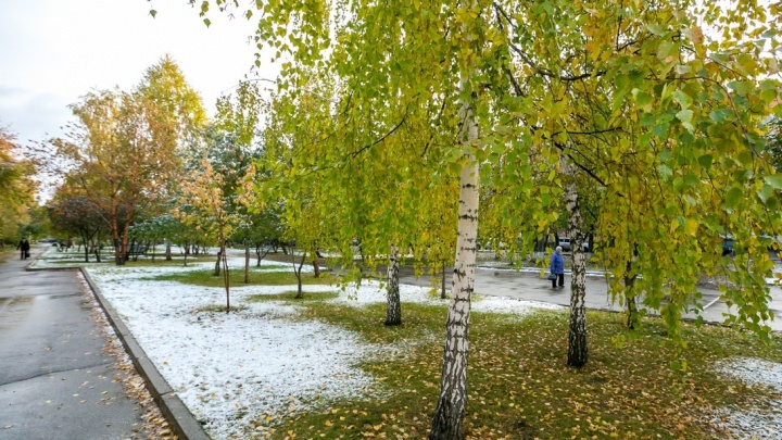 Первые серьезные заморозки идут в Красноярск