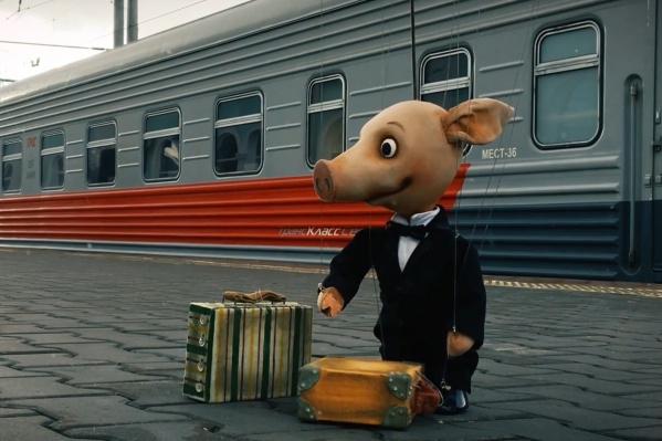 В Архангельск поросёнок приехал вместе с труппой саратовского театра «Теремок» В Архангельск поросёнок приехал вместе с труппой саратовского театра «Теремок» 