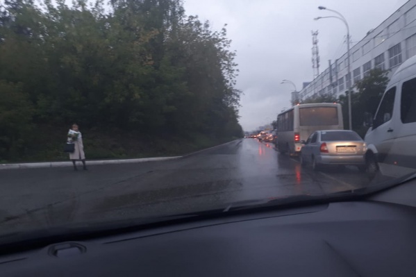 Пробка на Зоологической в сторону Серафимы Дерябиной Пробка на Зоологической в сторону Серафимы Дерябиной