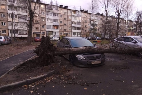 Берегите автомобили! И себя Берегите автомобили! И себя
