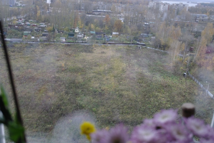Частичка рощи действительно вошла в территорию застройщика Частичка рощи действительно вошла в территорию застройщика