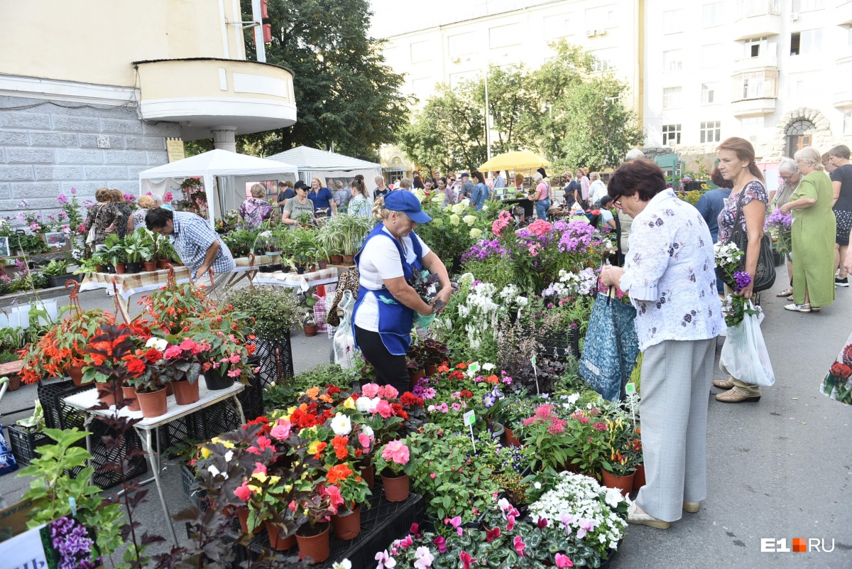 День города в Екатеринбурге закончился коротким салютом и длинными пробками