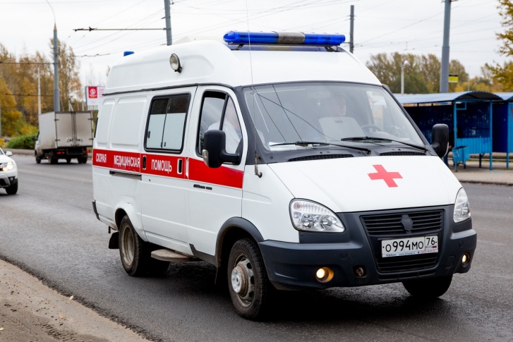 Пожилая пара пряталась от сына у соседей Пожилая пара пряталась от сына у соседей