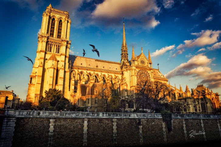 Собор Парижской Богоматери теперь надолго закроется для туристов